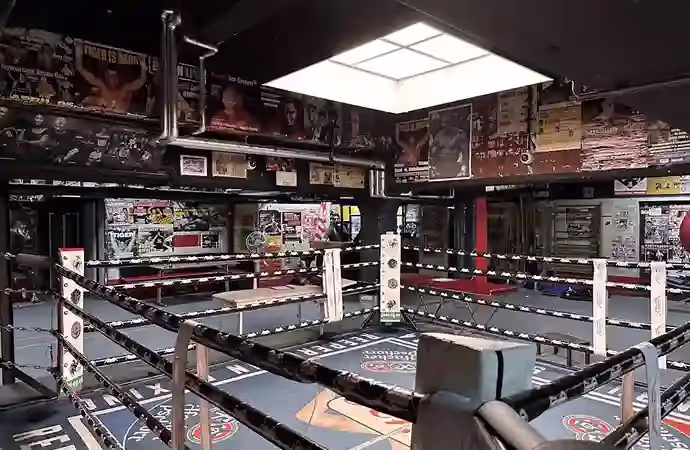 ultimatefightingchampionship.store